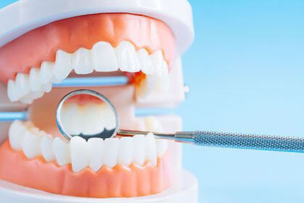 歯周病の原因菌は全身を巡る