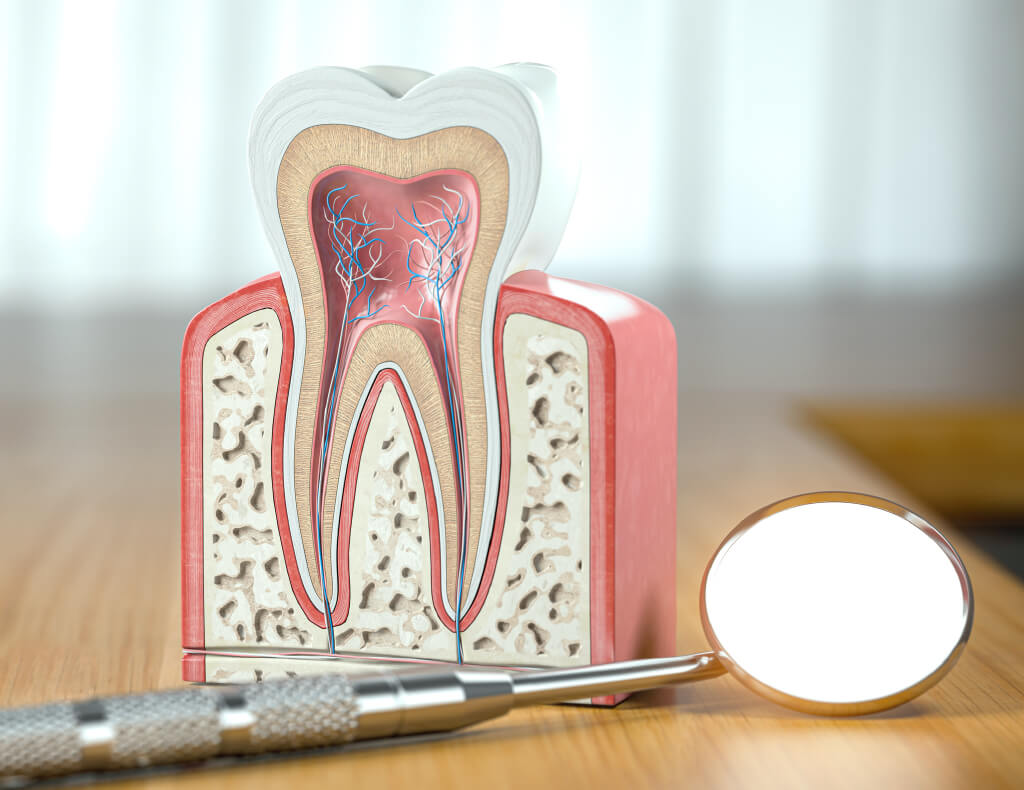 予防から再生療法まで、高水準の歯周病治療
